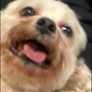 Meet your Posher, Colin